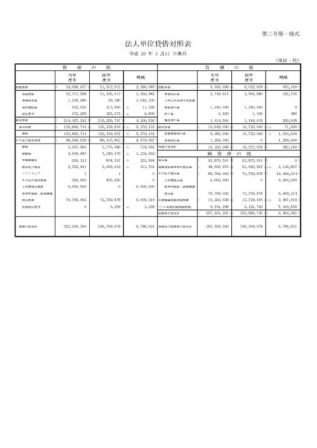 平成28年度貸借対照表